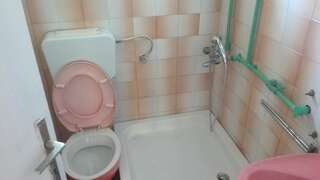 Загородные дома Country house Orahovo Вирпазар Апартаменты-11